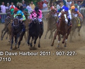Kentucky Derby Copyright Dave Harbour 2011